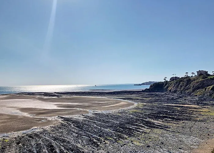 Apartment T2 Avec Ascenseur, Hypercentre, A 50m De La Plage, Wifi, Tv Connectee, Linge En Option - Fr-1-361-4 *