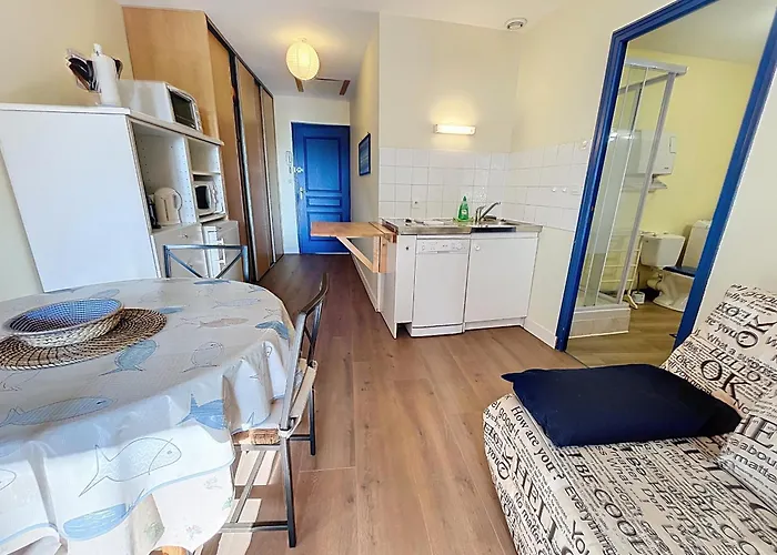 T2 Avec Ascenseur, Hypercentre, A 50m De La Plage, Wifi, Tv Connectee, Linge En Option - Fr-1-361-4