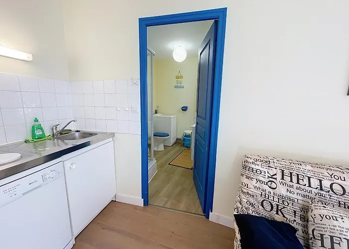 Apartment T2 Avec Ascenseur, Hypercentre, A 50m De La Plage, Wifi, Tv Connectee, Linge En Option - Fr-1-361-4 *