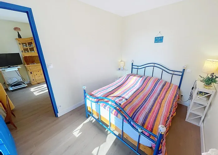 T2 Avec Ascenseur, Hypercentre, A 50m De La Plage, Wifi, Tv Connectee, Linge En Option - Fr-1-361-4